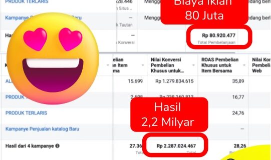 Qolan Skill Ngiklan Untung di FB Ads Anti Boncos di Depok Cimanggis